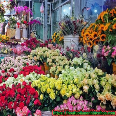 Mua hoa tươi giá sỉ tại Biên Hòa