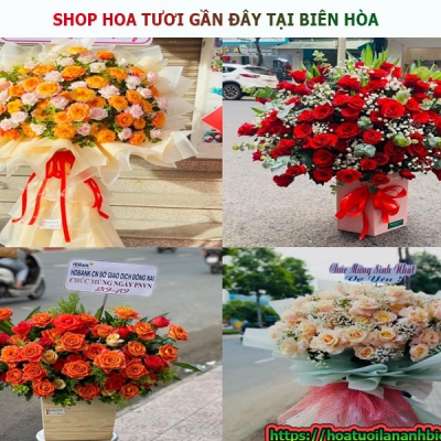 Shop hoa tươi gần đây có địa chỉ tại đường Đồng Khởi, P.Tam Hiệp, Biên Hòa, Đồng Nai