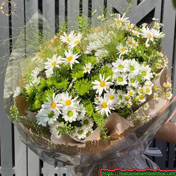 Bo-Hoa-Funny-Smile-Green-And-White