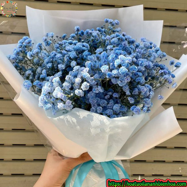 bo-hoa-baby-mini-xanh-duong-tang-ban-nam