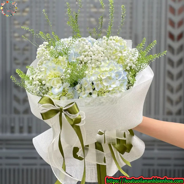 bo-hoa-cam-tu-cau-little-lamb-hydrangea