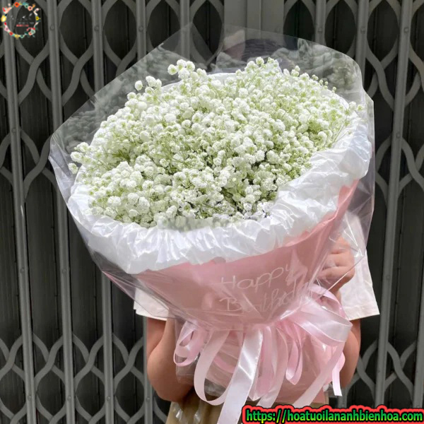 bo-hoa-sinh-nhat-nam