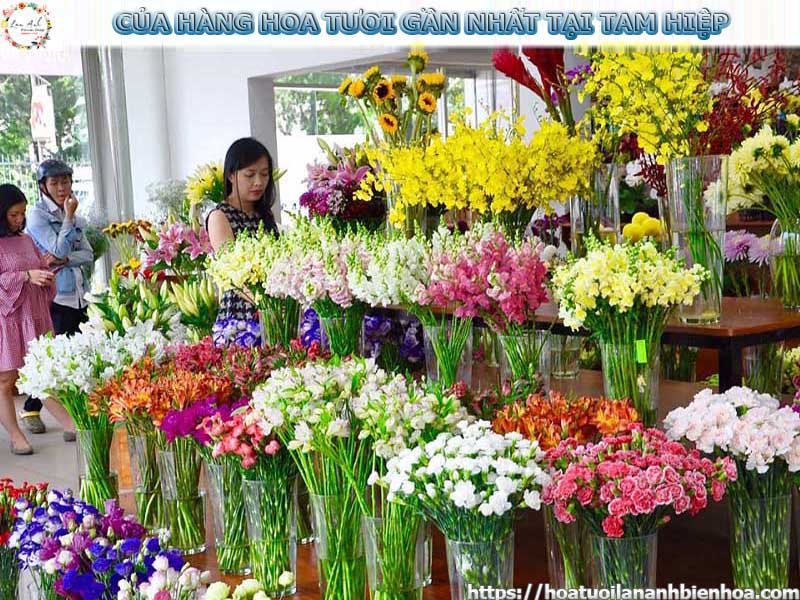 Cửa hàng hoa tươi gần đây nhất tại Tam Hiệp Cua-hang-hoa-tuoi-gan-nhat-tai-tam-hiep