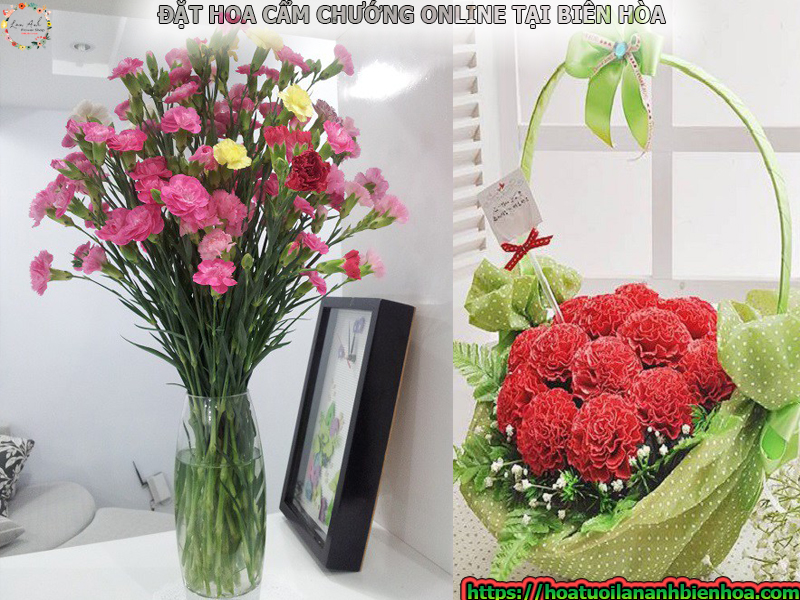 Đặt hoa cẩm chướng online tại Tam Hiệp, Biên Hòa, Đồng Nai Dat-hoa-cam-chuong-online-tai-tam-hiep-bien-hoa-dong-nai