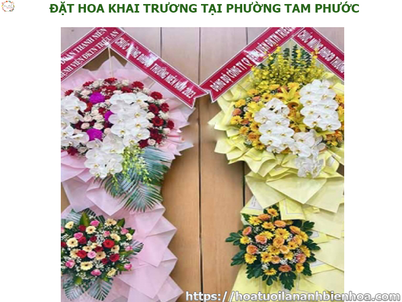 dat-hoa-khai-truong-gia-re-tai-phuong-an-hoa-bien-hoa-dong-nai