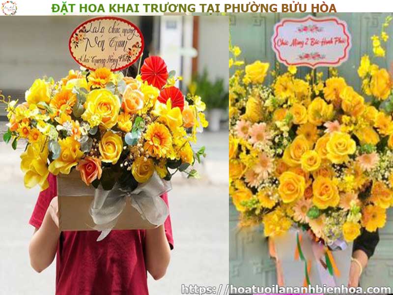 dat-hoa-khai-truong-gia-re-tai-phuong-buu-hoa-bien-hoa-dong-nai