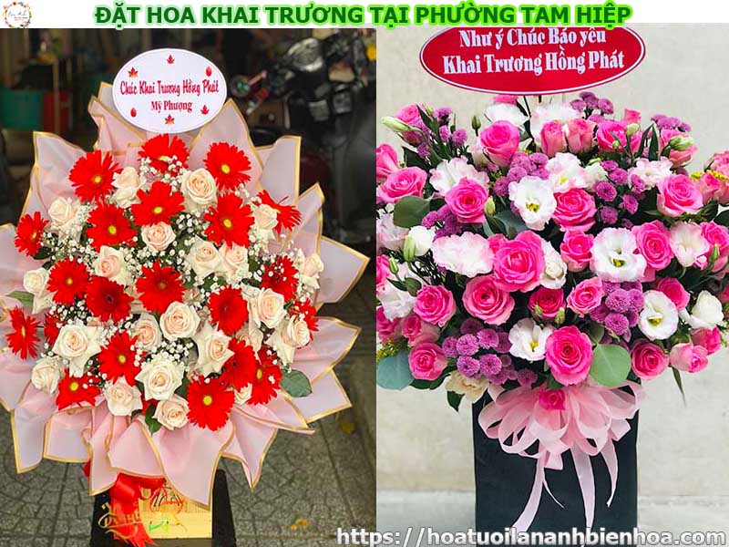 dat-hoa-khai-truong-gia-re-tai-phuong-tam-hiep-bien-hoa-dong-nai