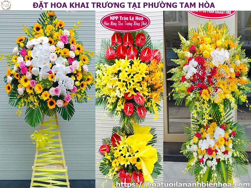 dat-hoa-khai-truong-gia-re-tai-phuong-tam-hoa-bien-hoa-dong-nai