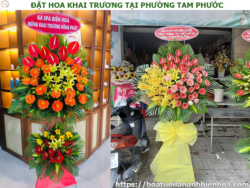 dat-hoa-khai-truong-gia-re-tai-phuong-tam-phuoc-bien-hoa-dong-nai