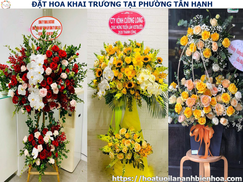 dat-hoa-khai-truong-gia-re-tai-phuong-tan-hanh-bien-hoa-dong-nai