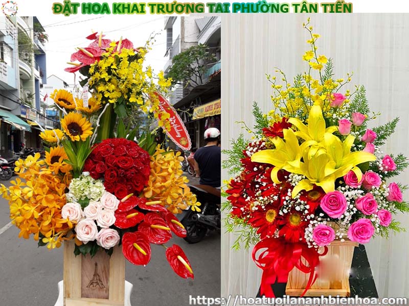 dat-hoa-khai-truong-gia-re-tai-phuong-tan-tien-bien-hoa-dong-nai