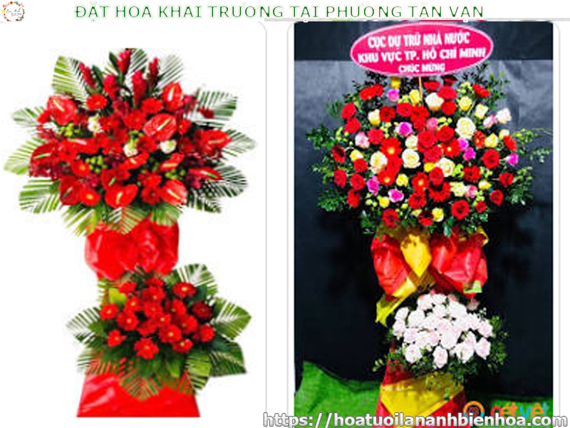 dat-hoa-khai-truong-gia-re-tai-phuong-tan-van-bien-hoa-dong-nai