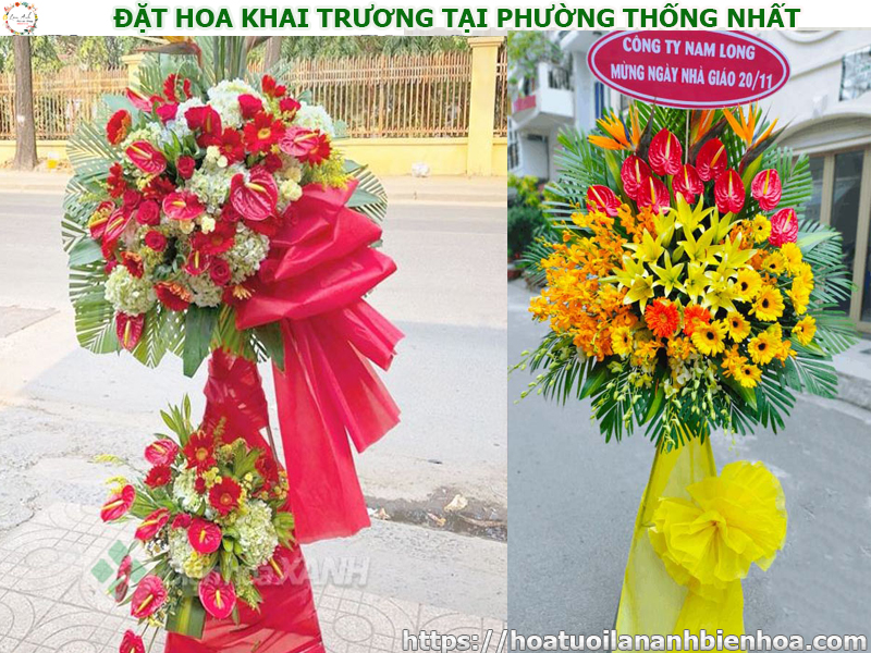 dat-hoa-khai-truong-gia-re-tai-phuong-thong-nhat-bien-hoa-dong-nai