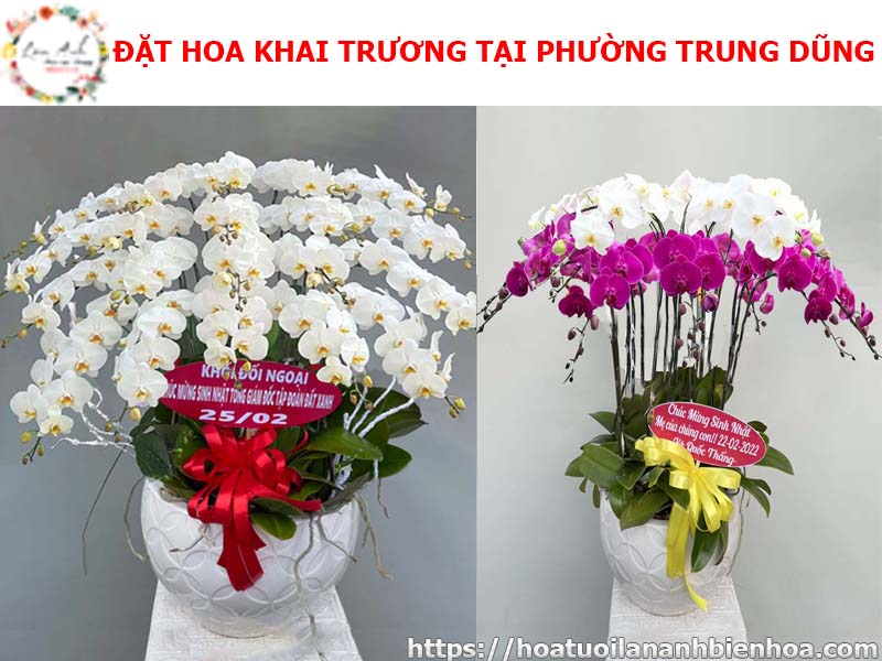 dat-hoa-khai-truong-gia-re-tai-phuong-trung-dung-bien-hoa-dong-nai