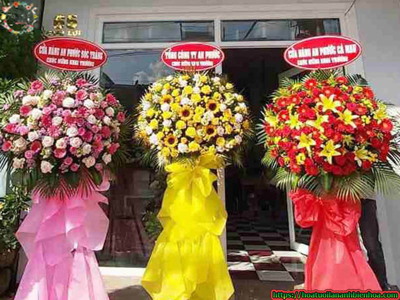 dat-hoa-mung-khai-truong-bien-hoa-nhanh-chong-chuyen-nghiep dat-hoa-mung-khai-truong-bien-hoa-nhanh-chong-chuyen-nghiep