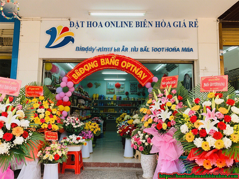 dat-hoa-online-phuong-trang-dai-bien-hoa-dong-nai