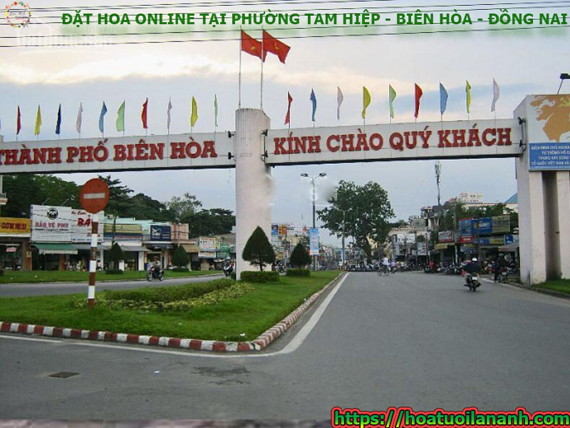 dat-hoa-online-cac-khu-pho-tai-phuong-tam-hiep-bien-hoa-dong-nai