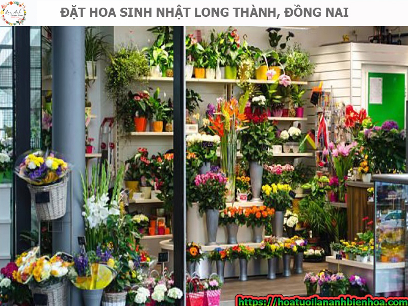 dat-hoa-sinh-nhat-gan-day-tai-huyen-long-thanh-tinh-dong-nai