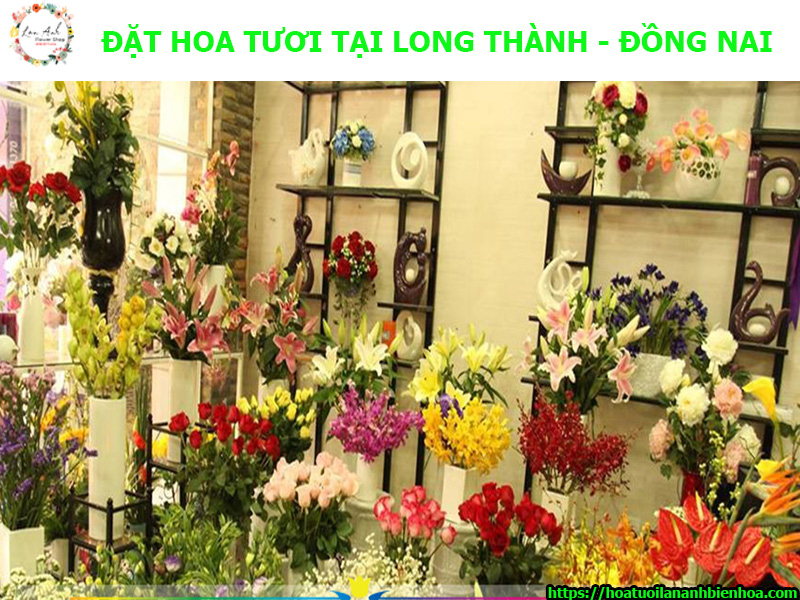 dat-hoa-tuoi-gia-re-tai-khu-cong-nghiep-long-thanh