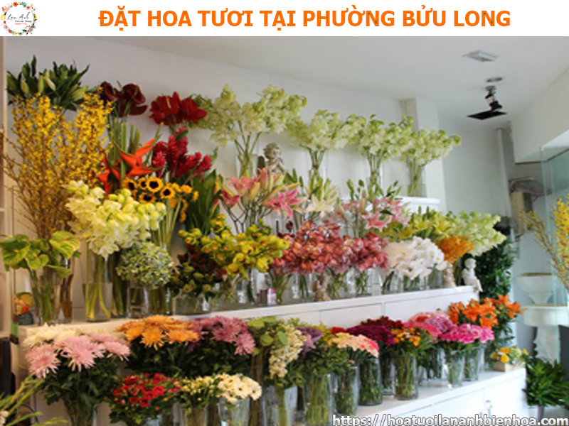 dat-hoa-tuoi-gia-re-tai-phuong-buu-long-bien-hoa-dong-nai