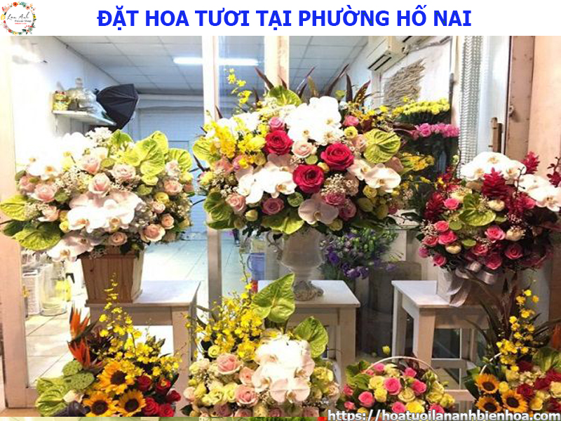 dat-hoa-tuoi-gia-re-tai-phuong-ho-nai-bien-hoa-dong-nai