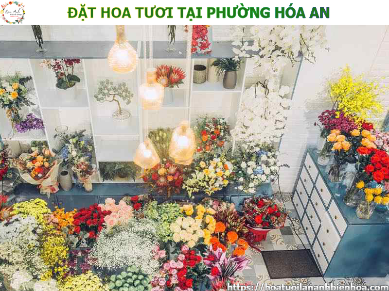 dat-hoa-tuoi-gia-re-tai-phuong-hoa-an-bien-hoa-dong-nai