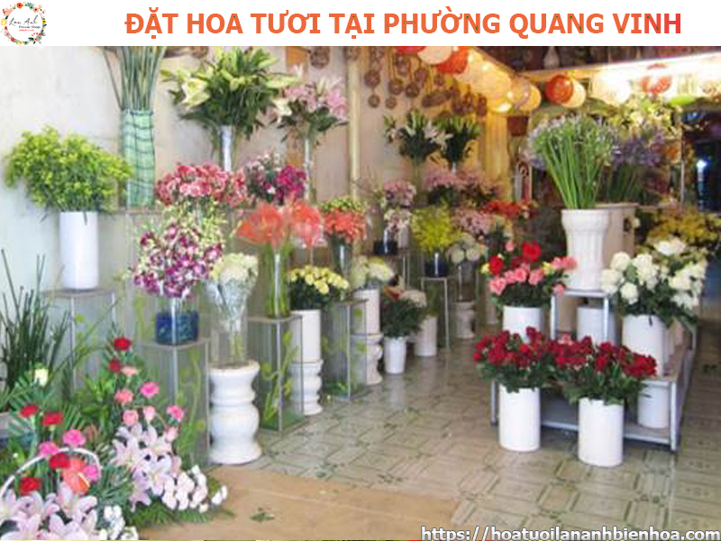 dat-hoa-tuoi-gia-re-tai-phuong-quang-vinh-bien-hoa-dong-nai