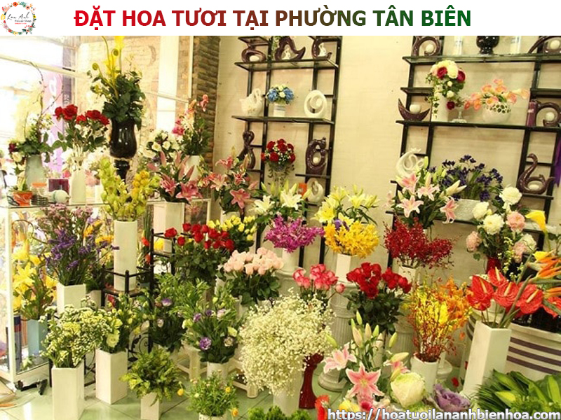 dat-hoa-tuoi-gia-re-tai-phuong-tan-bien-bien-hoa-dong-nai