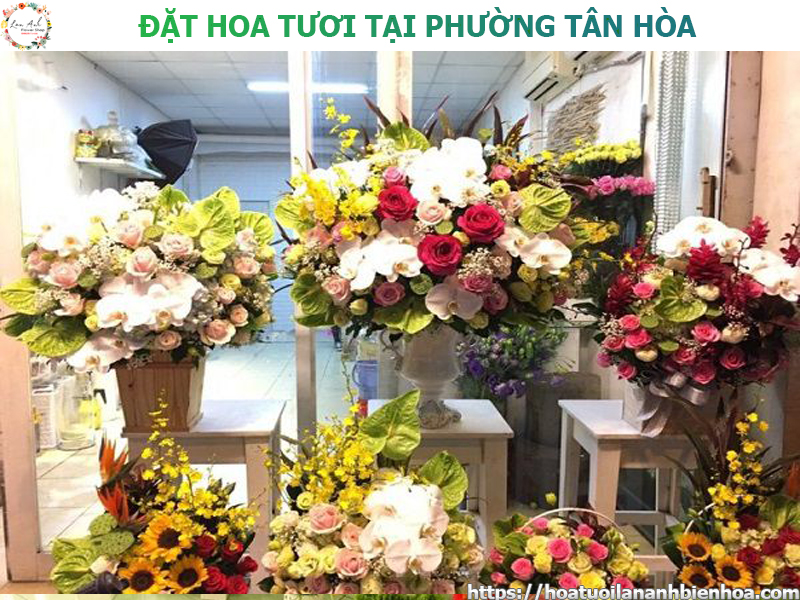 dat-hoa-tuoi-gia-re-tai-phuong-tan-hoa-bien-hoa-dong-nai