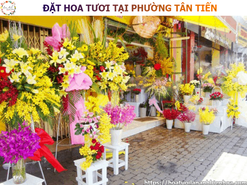 dat-hoa-tuoi-gia-re-tai-phuong-tan-tien-bien-hoa-dong-nai