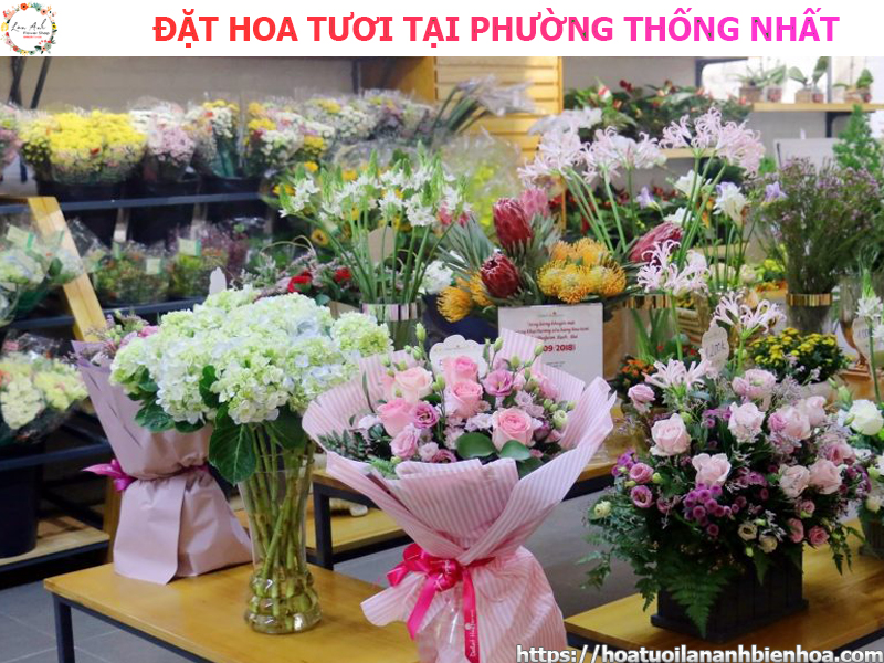 dat-hoa-tuoi-gia-re-tai-phuong-thong-nhat-bien-hoa-dong-nai