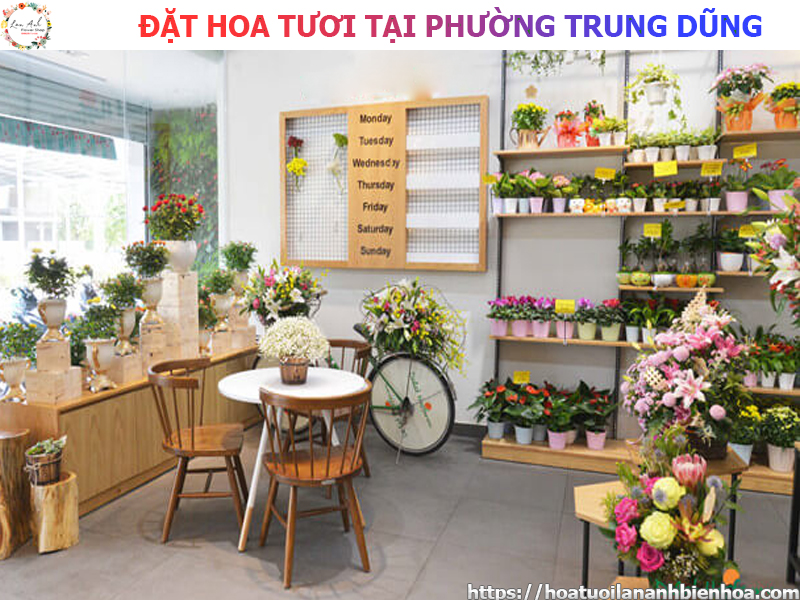 dat-hoa-tuoi-gia-re-tai-phuong-trung-dung-bien-hoa-dong-nai