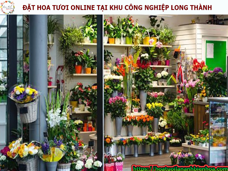 dat-hoa-tuoi-online-tai-kcn-long-thanh