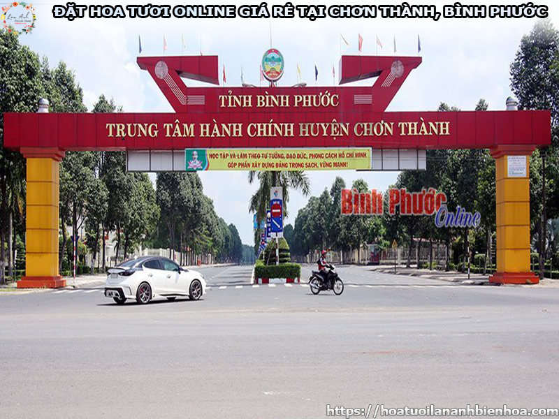 dat-hoa-tuoi-online-theo-yeu-cau-gia-re-tai-chon-thanh-binh-phuoc