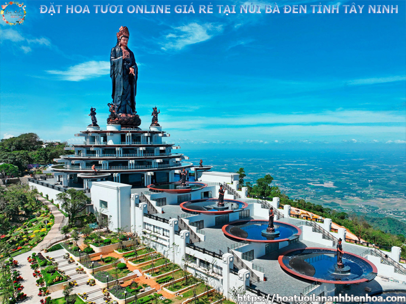 dat-hoa-tuoi-online-theo-yeu-cau-gia-re-tai-nui-ba-den-tinh-tay-ninh