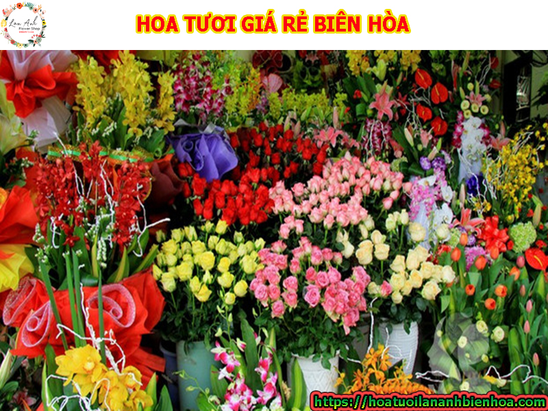 hoa-tuoi-gia-re-bien-hoa-tai-phuong-tam-hiep-phuoc-tan-tam-phuoc