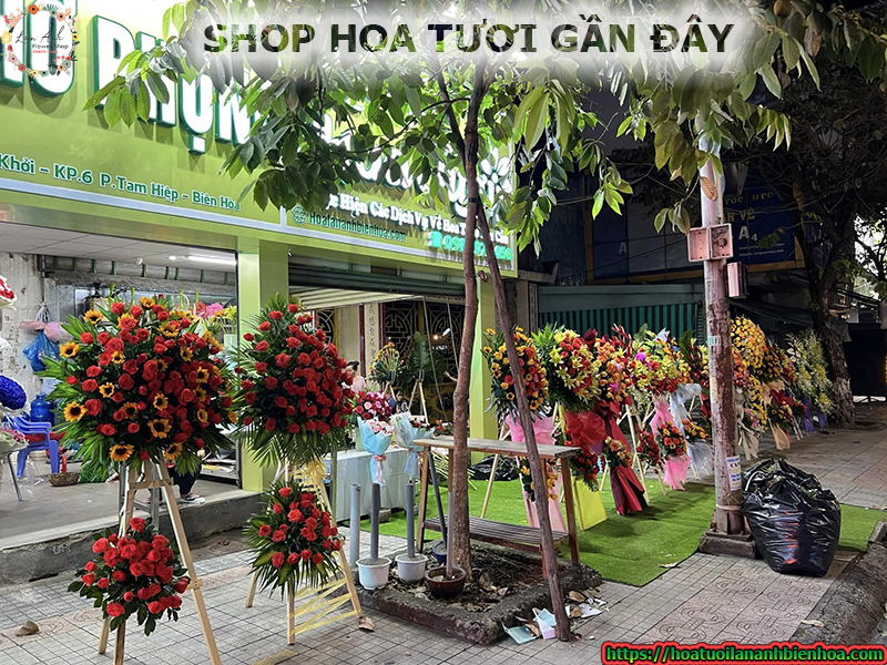 Shop hoa tươi gần đây