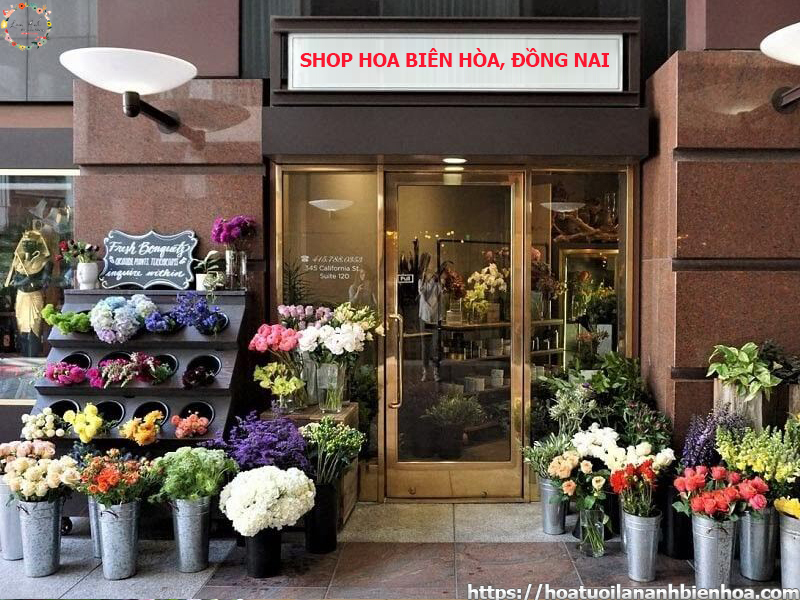 shop-hoa-bien-hoa-dong-nai-cung-cap-hoa-tuoi-gia-re-nam-2024