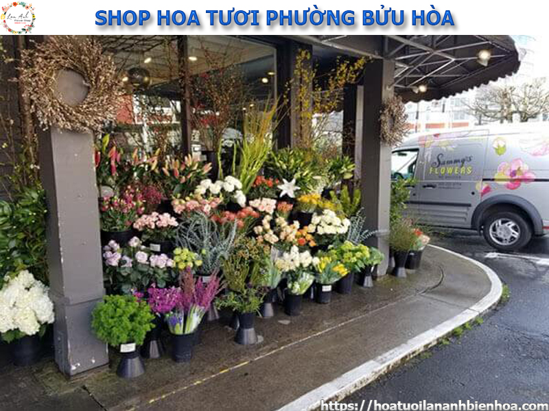shop-hoa-tuoi-gia-re-tai-phuong-buu-hoa-bien-hoa-dong-nai