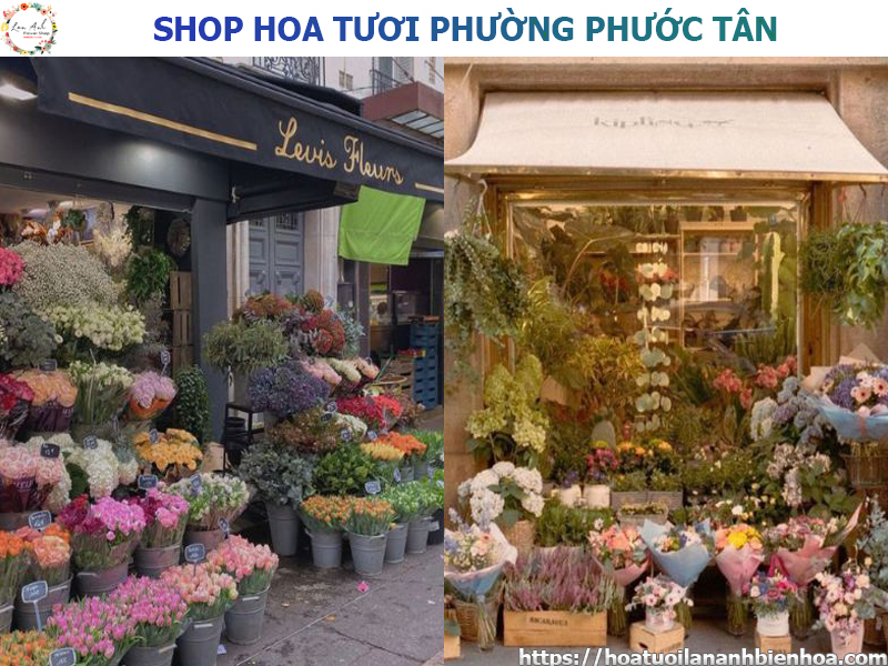 shop-hoa-tuoi-gia-re-tai-phuong-phuoc-tan-bien-hoa-dong-nai