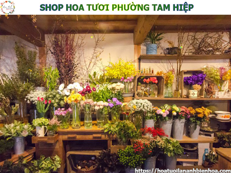 shop-hoa-tuoi-gia-re-tai-phuong-tam-hiep-bien-hoa-dong-nai