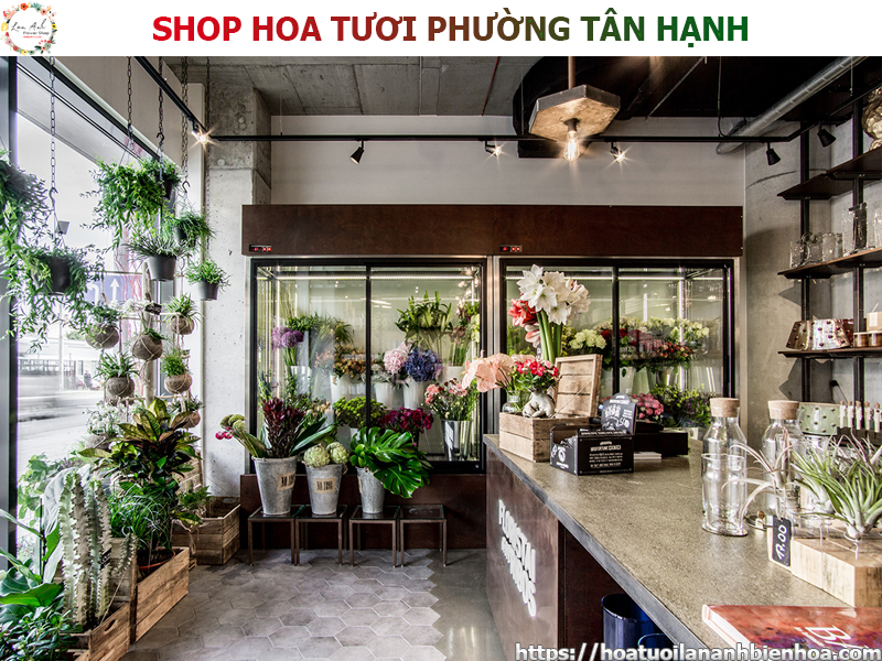 shop-hoa-tuoi-gia-re-tai-phuong-tan-hanh-bien-hoa-dong-nai