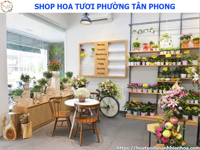 Shop hoa tươi giá rẻ tại phường Tân Phong, Biên Hòa, Đồng Nai