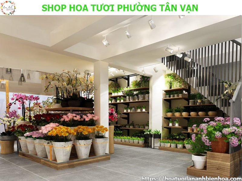 shop-hoa-tuoi-gia-re-tai-phuong-tan-van-bien-hoa-dong-nai