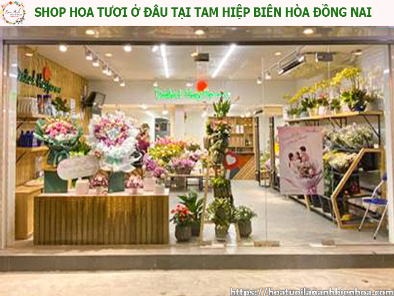 shop-hoa-tuoi-o-dau-tai-phuong-tam-hiep-bien-hoa-dong-nai