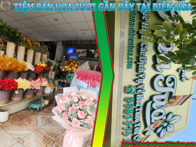 Tiệm bán hoa tươi gần đây ở Biên Hòa